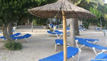 Apartamentos Martha'S Palmanova Aparthotel