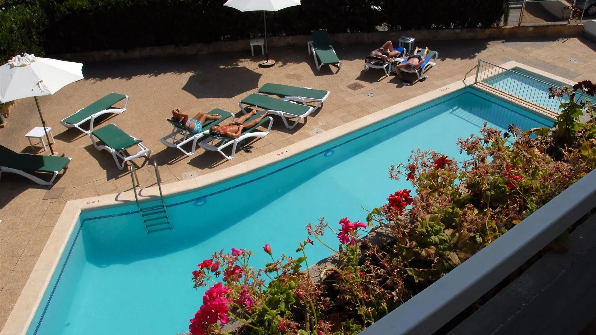 Aparthotel Apartamentos Martha'S Palma Nova